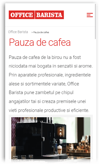 Portofoliu construcție website Creatif